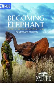 Becoming Elephant: The Orphans of Retei