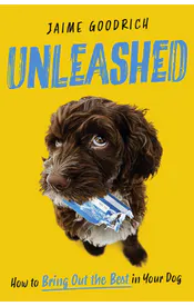 Unleashed: How to Bring Out the Best in Your Dog