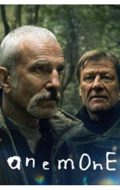 Anemone